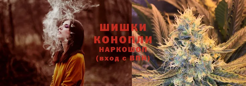 Канабис OG Kush  Камышин 